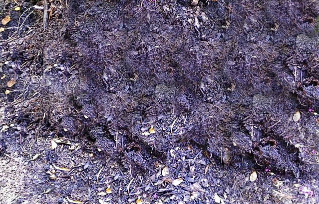 Rolling compost pile