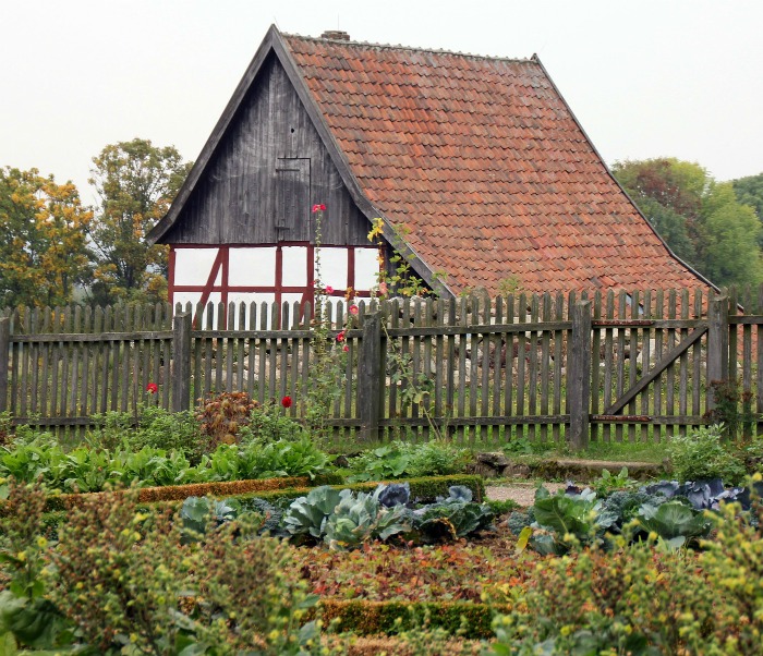 Vegetable garden with fence to keep out critters