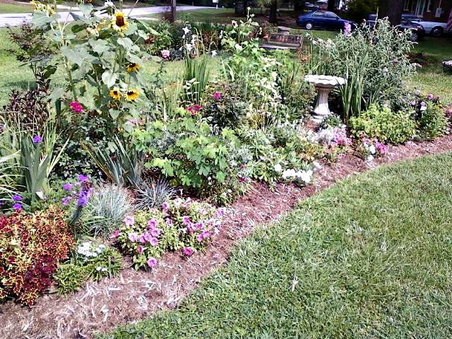 Front garden bed with bird bath