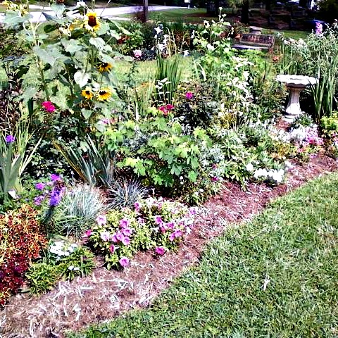 The Gardening Cook Welcomes  You With Gardening Tips and Healthy Recipes