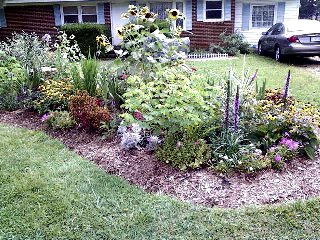The Gardening Cook welcomes you to a lovely garden bed
