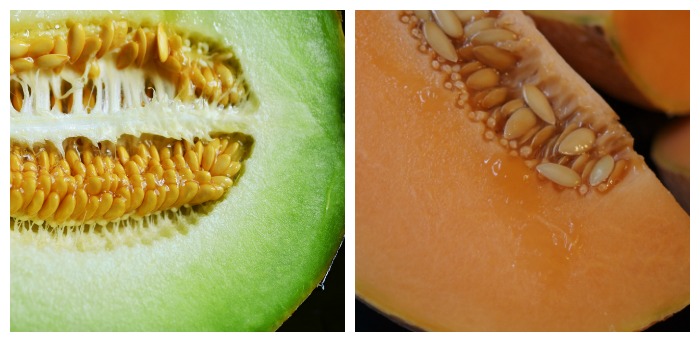 Flesh of honeydew and cantaloupe melons