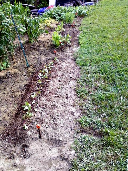 Hose guides - DIY garden project 