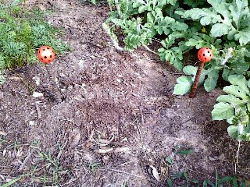 The orange color makes these decorative garden hose guides easy to see.