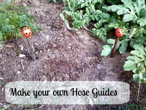 Make your own hose guides with rebar and plastic golf balls. 