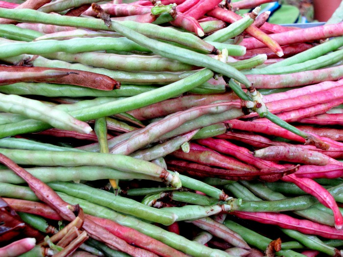 Bush and pole beans in many colors