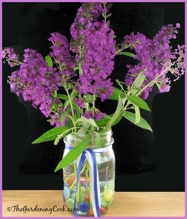 Purple butterfly bush cut flowers