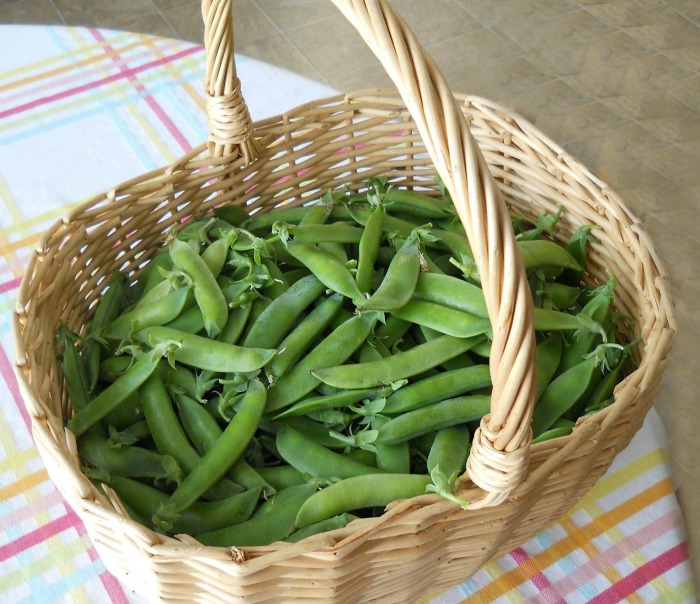 basket of English peas