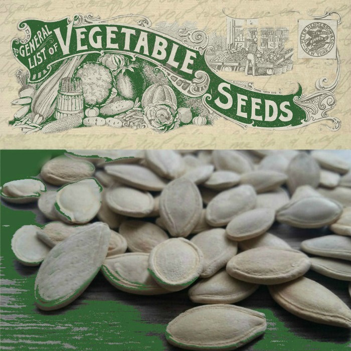 Why Heirloom Vegetable Seeds? – 6 Advantages for Growing Heirloom Seeds