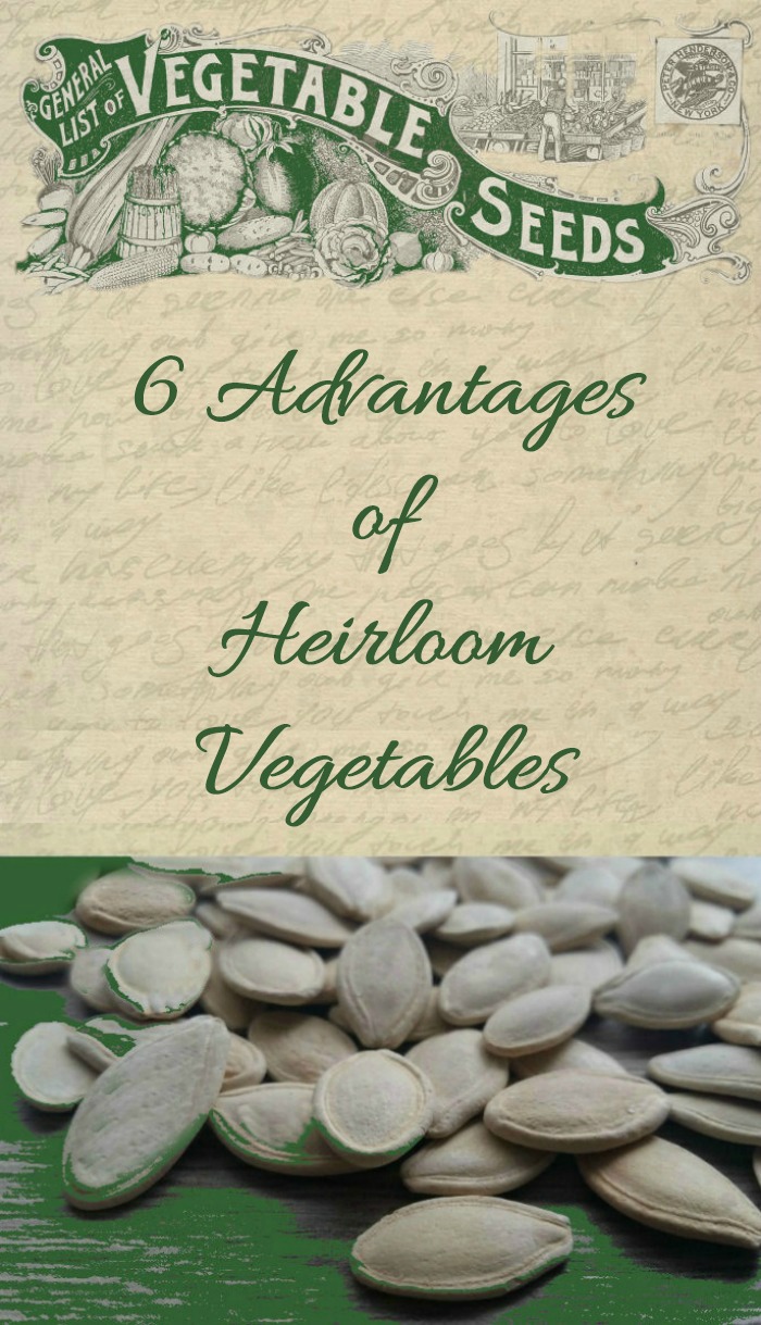 6 advantages of heirloom vegetables. Find out why we grow them