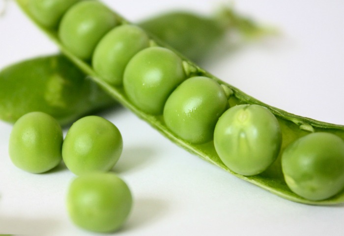 Plump English garden peas