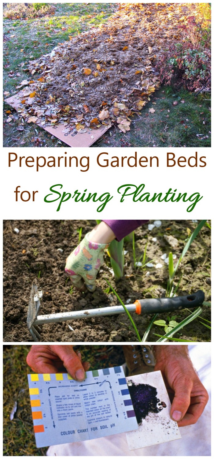 Now is the time to think about preparing spring flower beds for planting. See my tips for making sure your garden beds are ready.