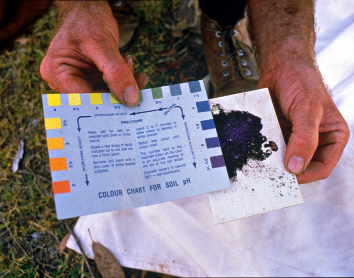 Soil pH test with a kit