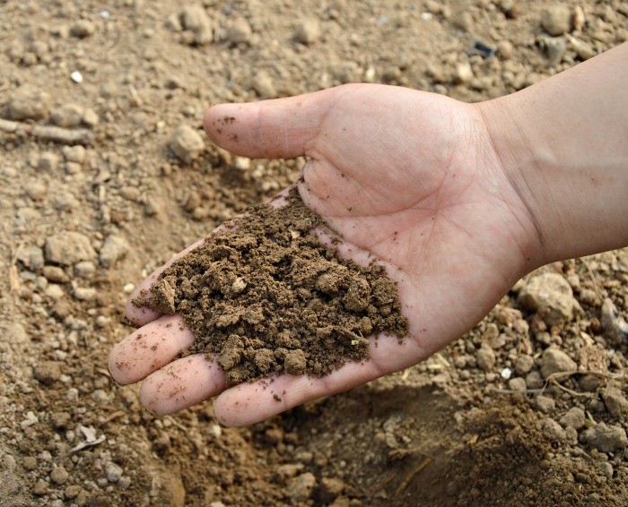 Soil that needs amendment