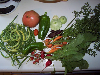 stir fry