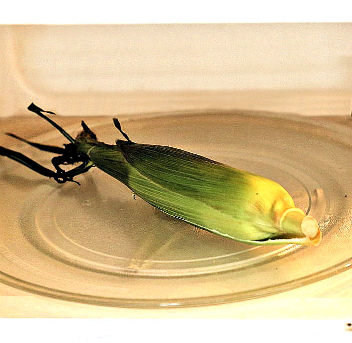 Cooking corn in a microwave
