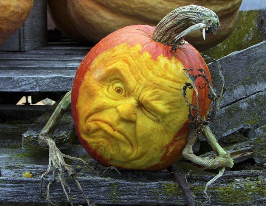 Food are carving from a pumpkin food art pumpkin