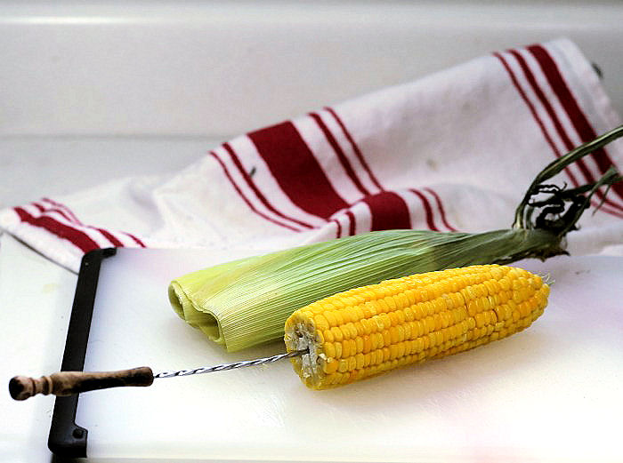 Cooked ear of corn with husk removed
