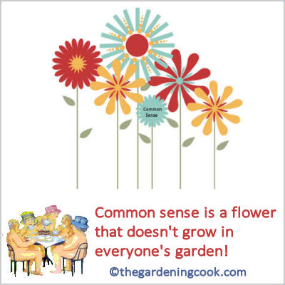 common sense