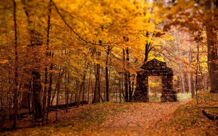 Stone Arbor in a fall forest