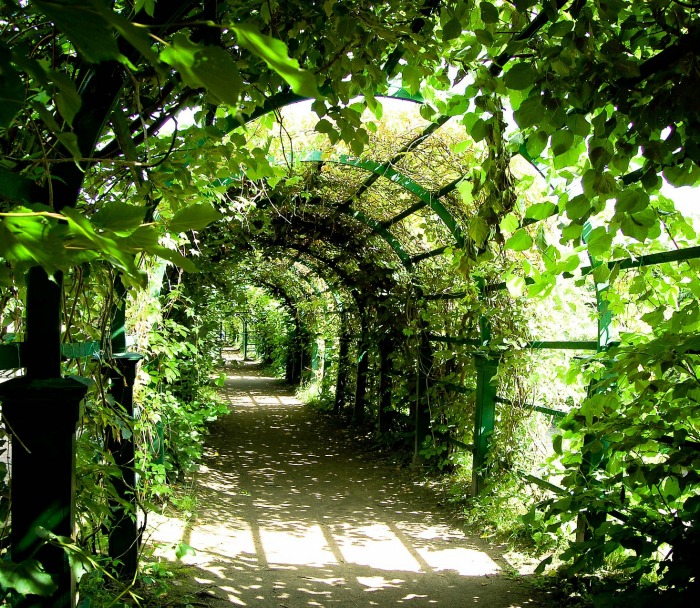 Tunnel arbor painted green covered in plants