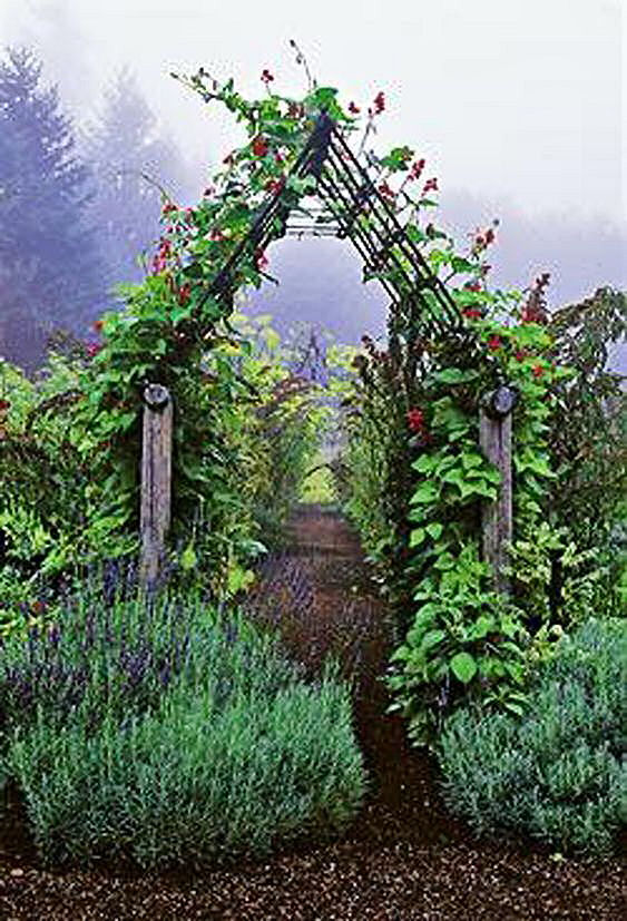 Wooden arbors with vegetables