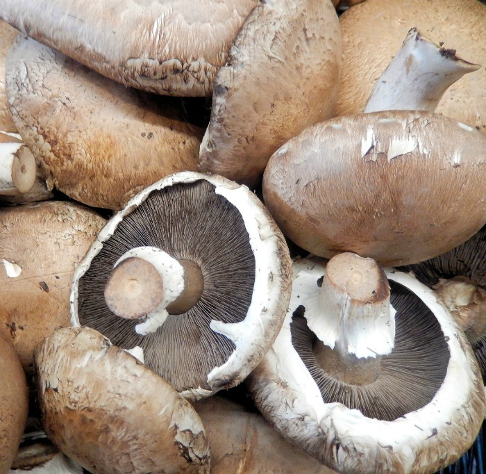 Uncooked portobello mushrooms