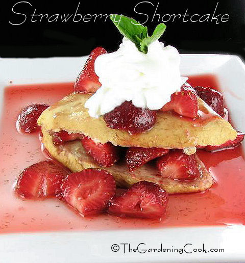 Easy Strawberry shortcake
