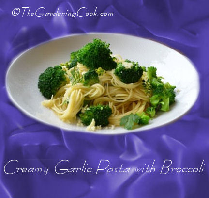 Creamy Garlic Pasta with Broccoli