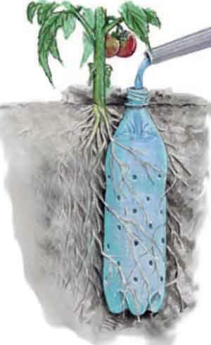 soda bottle drip feeder