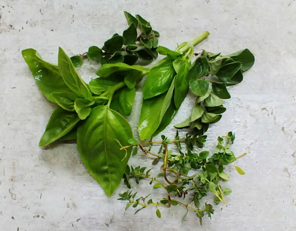 Fresh basil, oregano and thyme on a counter top.