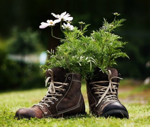 Pair of boots with annuals