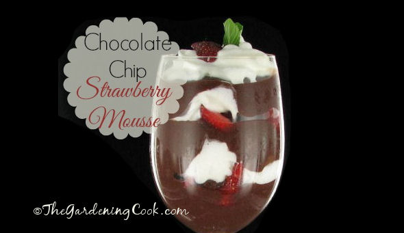 Strawberry chocolate mousse with extra crunch