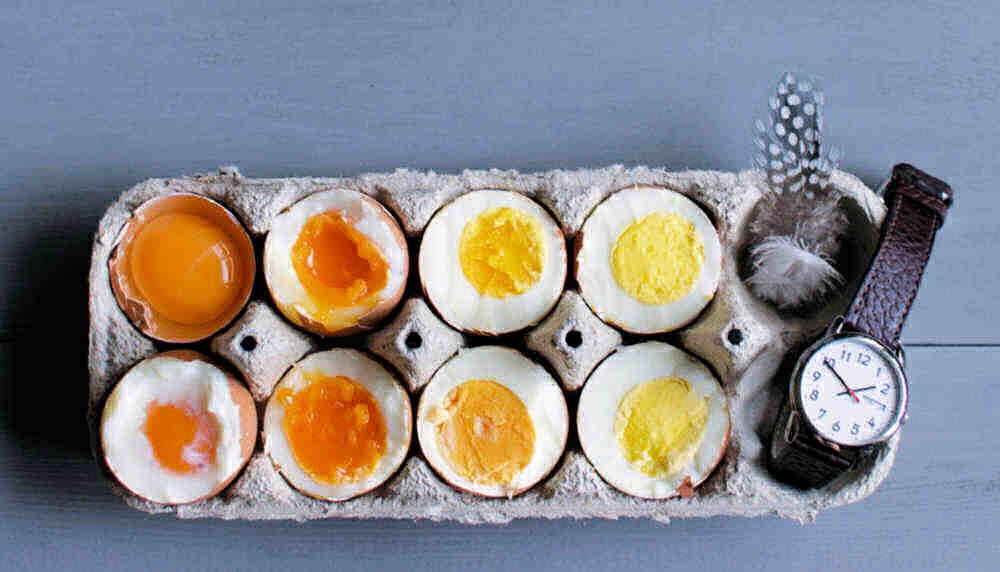 Eggs in a carton from raw through to hard boiled with a watch and feather.