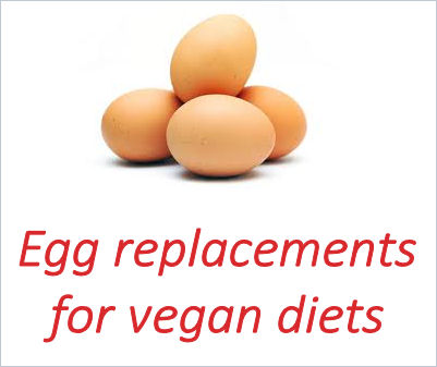 egg replacements