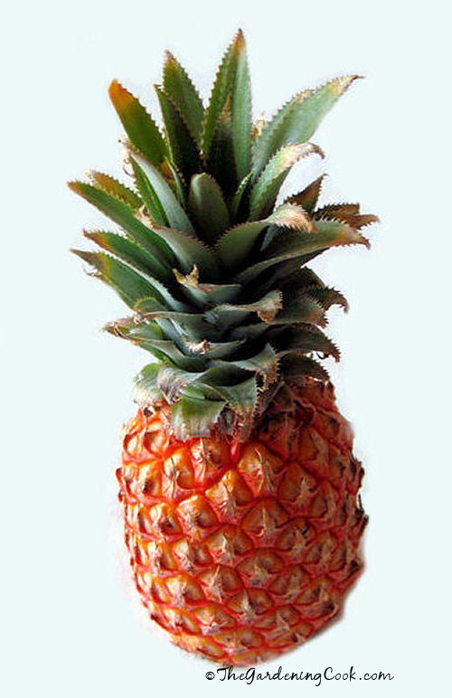 Fresh pineapple