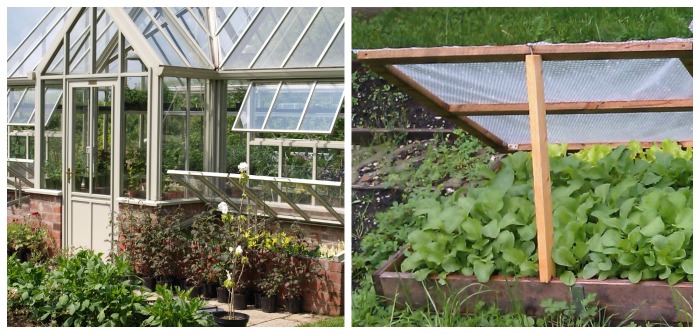Greenhouse vs cold frame - two homemade greenhouse ideas