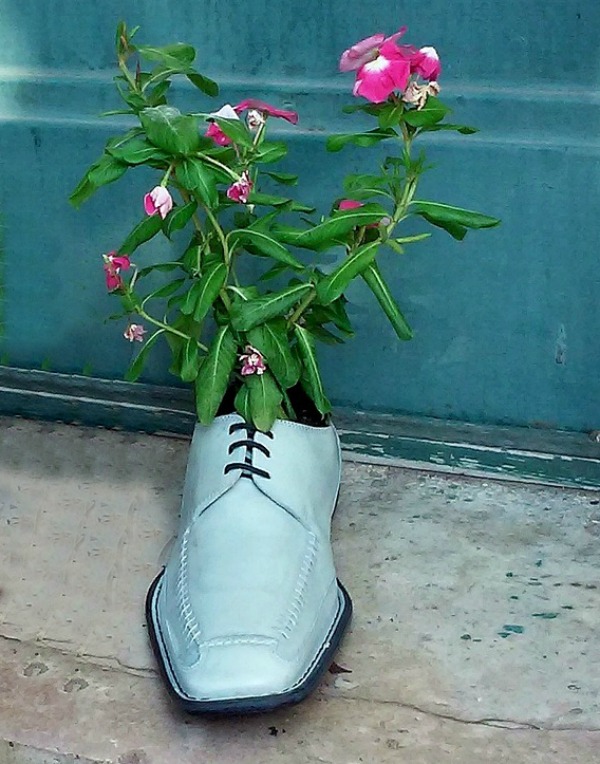 Mans dress shoe planter