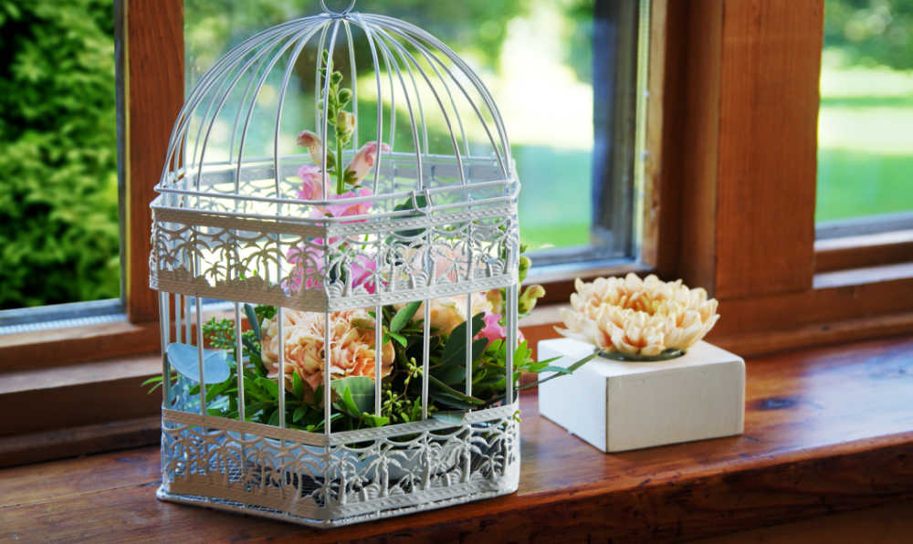 Bird cage on a windowsill with plants in it.