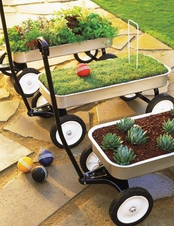 wagon planters