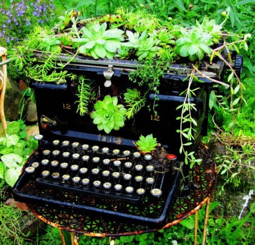 typewriter planter