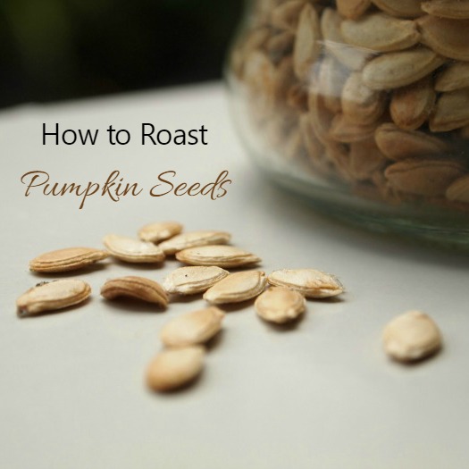 Roasted Pumpkin Seeds – Healthy cooking Recipe