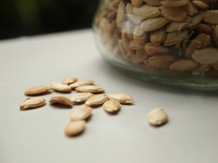Roasted Pumpkin seeds make a great snack.