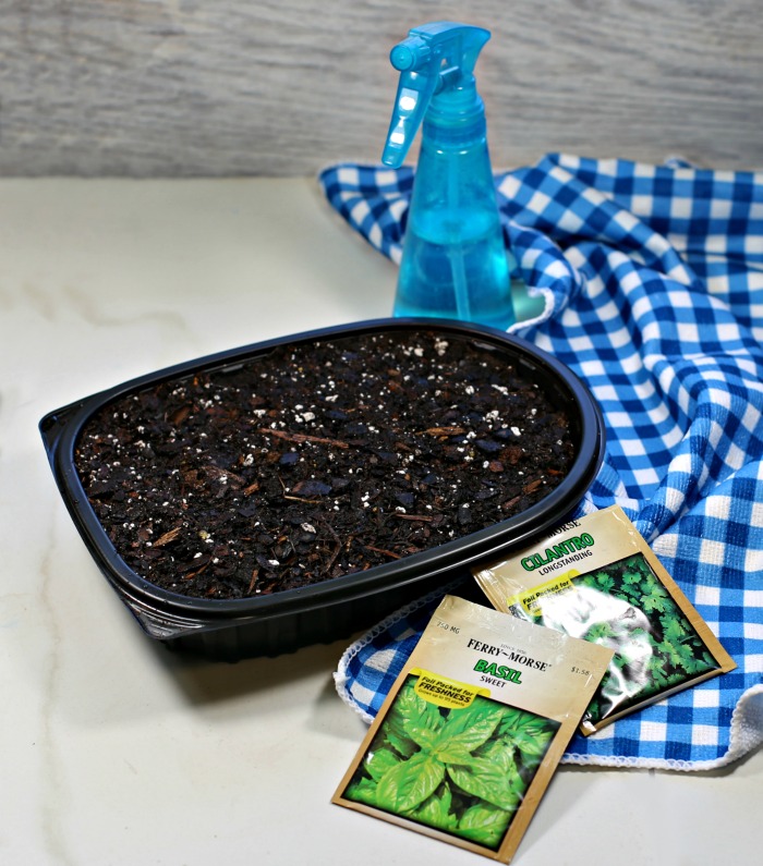 Seed stasrting tray from a rotisserie chicken container
