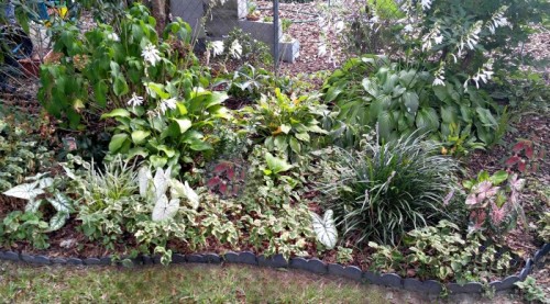 Shade garden bed