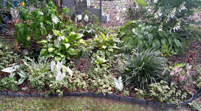 Shade garden bed