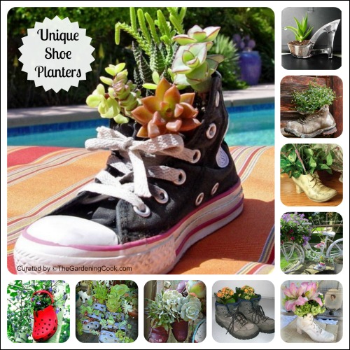 Great selection of unique shoe planters
