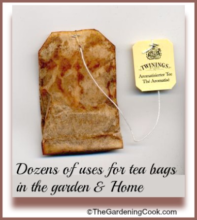Dozens of uses for tea bags in the home and garden