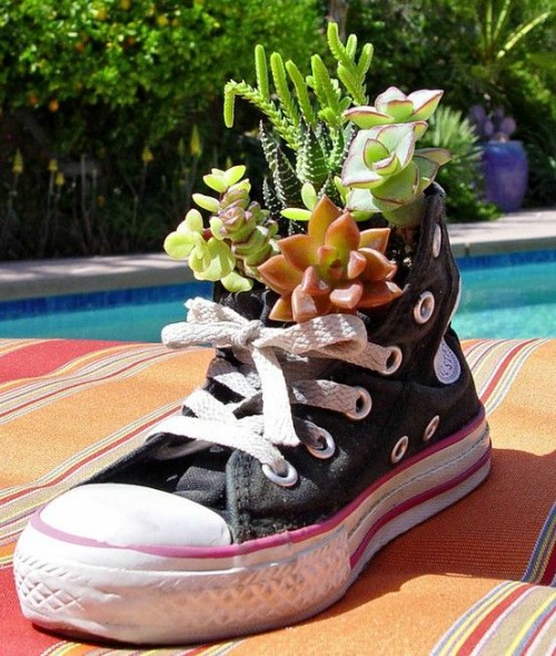 Tennis shoe planter