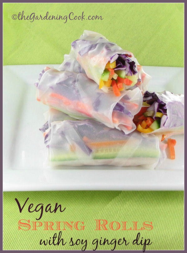 Vegetarian Salad Rolls